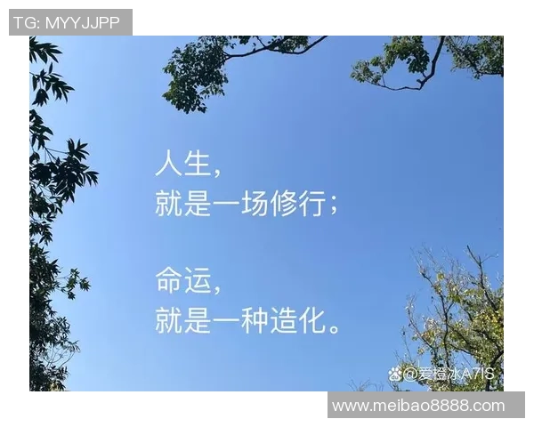 何思雨的成长之路：从平凡到卓越的心灵探索与人生启示