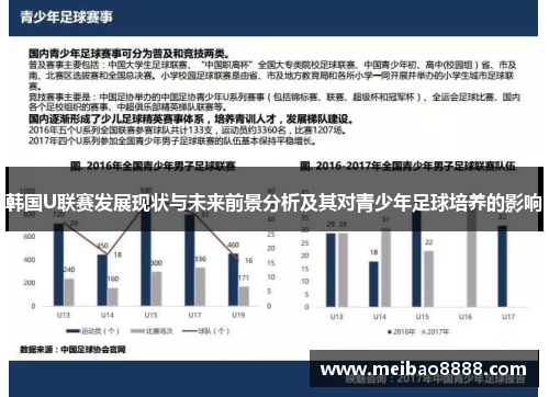 韩国U联赛发展现状与未来前景分析及其对青少年足球培养的影响