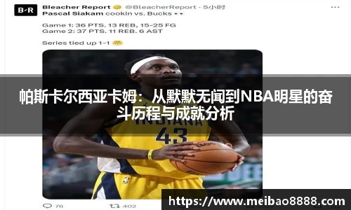 678体育官网入口